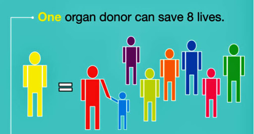 Organ Donor