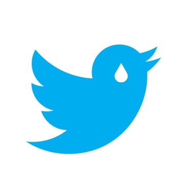 Twitter 2