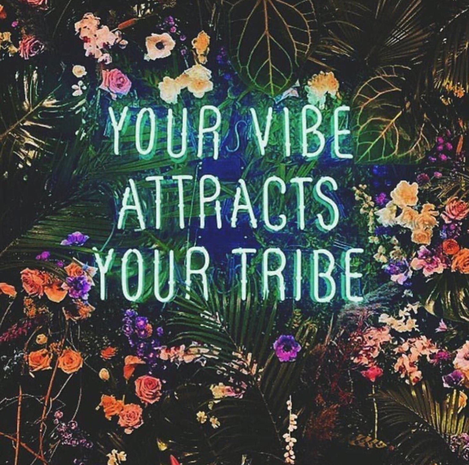 Vibe Tribe