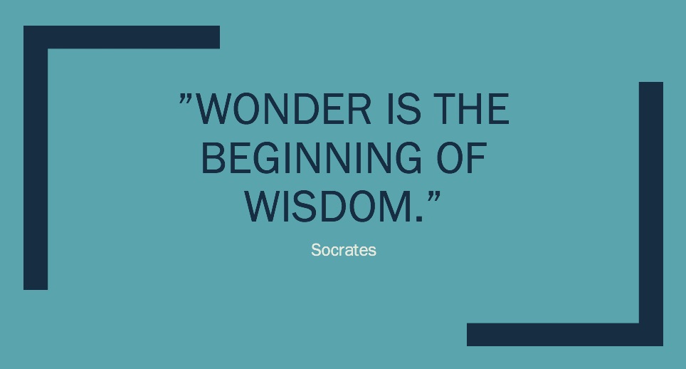 Wonder Quote